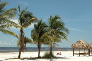 Fort Myers FL DISCOUNT REALTOR beach
