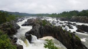 Great Falls VA DISCOUNT REALTOR rapids landscape