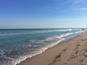 Palm Beach Boca Raton FL DISCOUNT REALTOR beach ocean