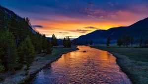 Cody WY DISCOUNT REALTOR Yellowstone National Park