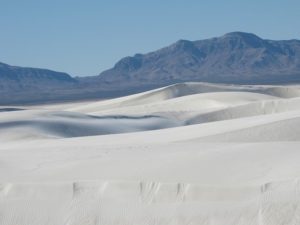 Las Cruces NM DISCOUNT REALTOR White Sands