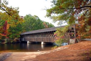 Lawrenceville GA DISCOUNT REALTOR bridge landscape