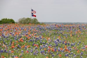 Weatherford TX DISCOUNT REALTOR landscape