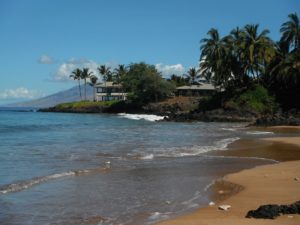 Maui HI DISCOUNT REALTOR beach homes