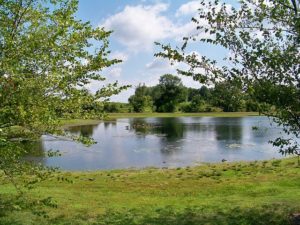 Ashburn VA DISCOUNT REALTOR Purcellville pond landscape