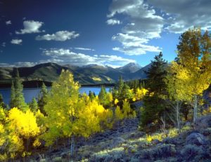 Aspen CO DISCOUNT REALTOR Twin Lakes mountains landscape