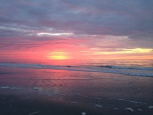 Hilton Head Island SC DISCOUNT REALTOR beach