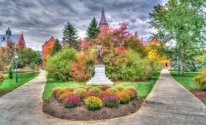 Burlington VT DISCOUNT REALTOR university landscape