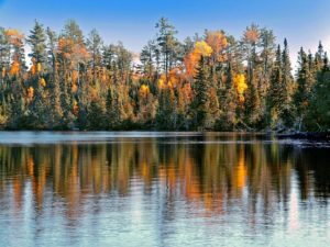 Cloquet MN DISCOUNT REALTOR Duluth landscape