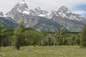 Jackson WY DISCOUNT REALTOR Grand Teton-National Park landscape