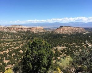 Los Alamos NM DISCOUNT REALTOR landscape