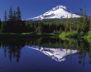 Mulino OR DISCOUNT REALTOR Mount Hood