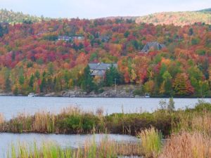 Norwich VT DISCOUNT REALTOR homes landscape