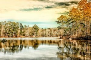 Warner Robins GA DISCOUNT REALTOR landscape