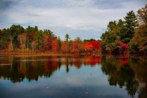 Worcester MA DISCOUNT REALTOR landscape lake