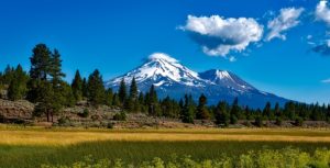 Mount Shasta CA DISCOUNT REALTOR landscape