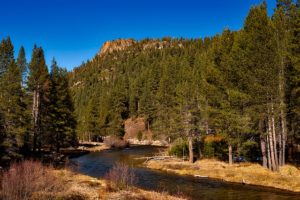 Grass Valley CA DISCOUNT REALTOR Tahoe National Forest
