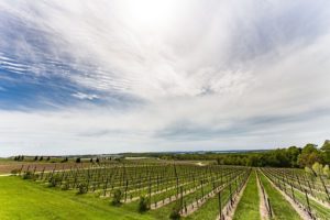 Traverse City MI DISCOUNT REALTOR winery