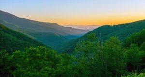 Ellijay GA DISCOUNT REALTOR mountains