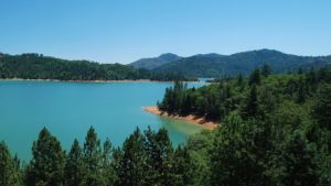 Redding CA DISCOUNT REALTOR Shasta Lake