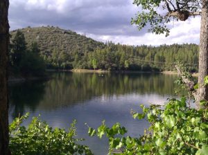 Prescott AZ DISCOUNT REALTOR Lake