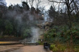 Hot Springs AR DISCOUNT REALTOR Landscape Springs Steam