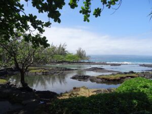 Hawaii Big Island HI DISCOUNT REALTOR ocean lava beach