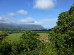 Kauai HI DISCOUNT REALTOR Hanalei countryside