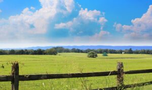 Winchester VA DISCOUNT REALTOR Shenandoah Valley landscape