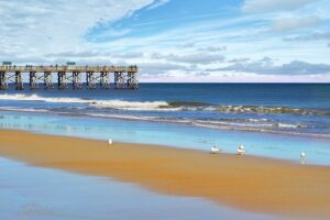 Flagler Beach FL DISCOUNT REALTOR beach ocean